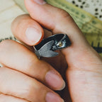 Anillo Pez